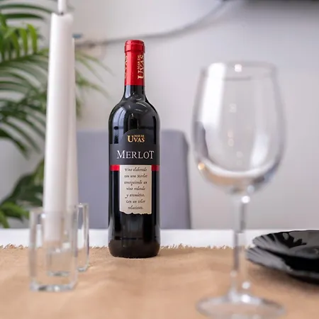 Canary Dream 라스팔마스