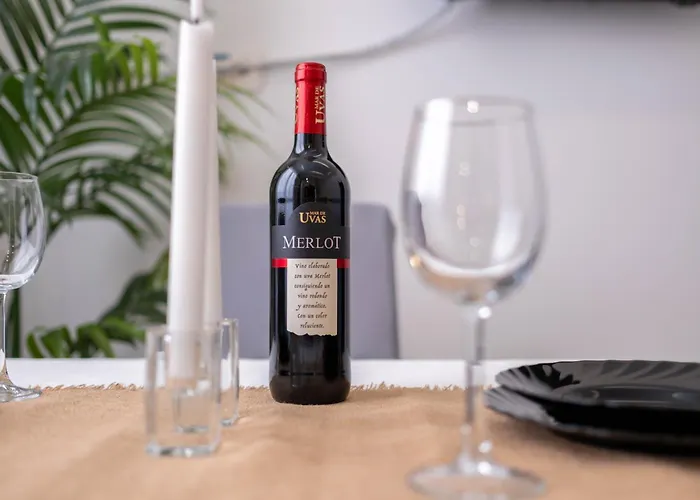 Canary Dream 라스팔마스